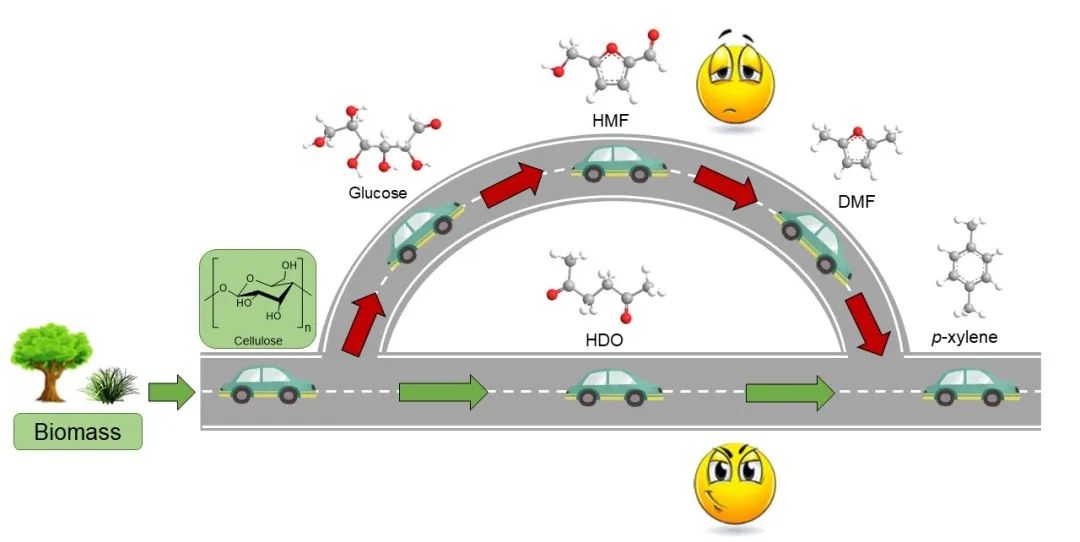纤维素一步转化为2,5-己二酮(HDO)和2,5-二甲基呋喃(DMF)两种制备二甲苯PX的前驱体