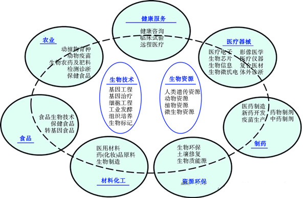 生物经济,一诺生物,厂家,工厂,生产厂家,生物经济规模