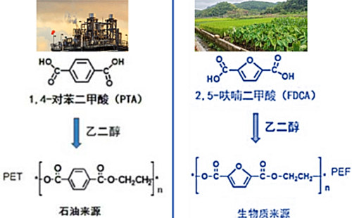 新型能源体系,一诺生物,绿色工厂,生产厂家